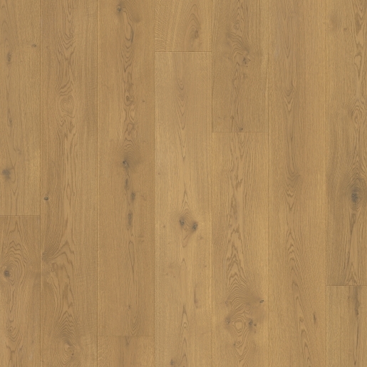 W4069-05116_Topshot-CHENE CHATAIGNIER.jpg